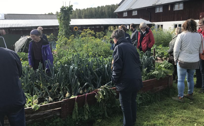 Aris himmelska ätbara trädgård