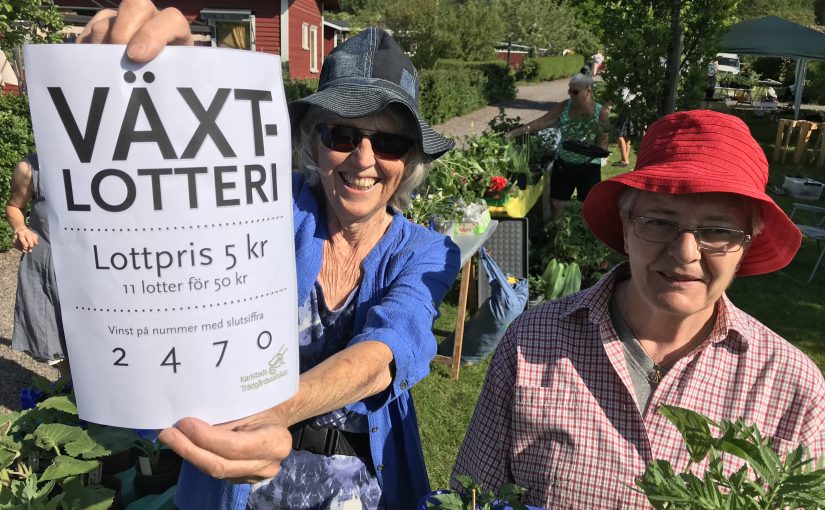 Fullt ös på växtlotteriet