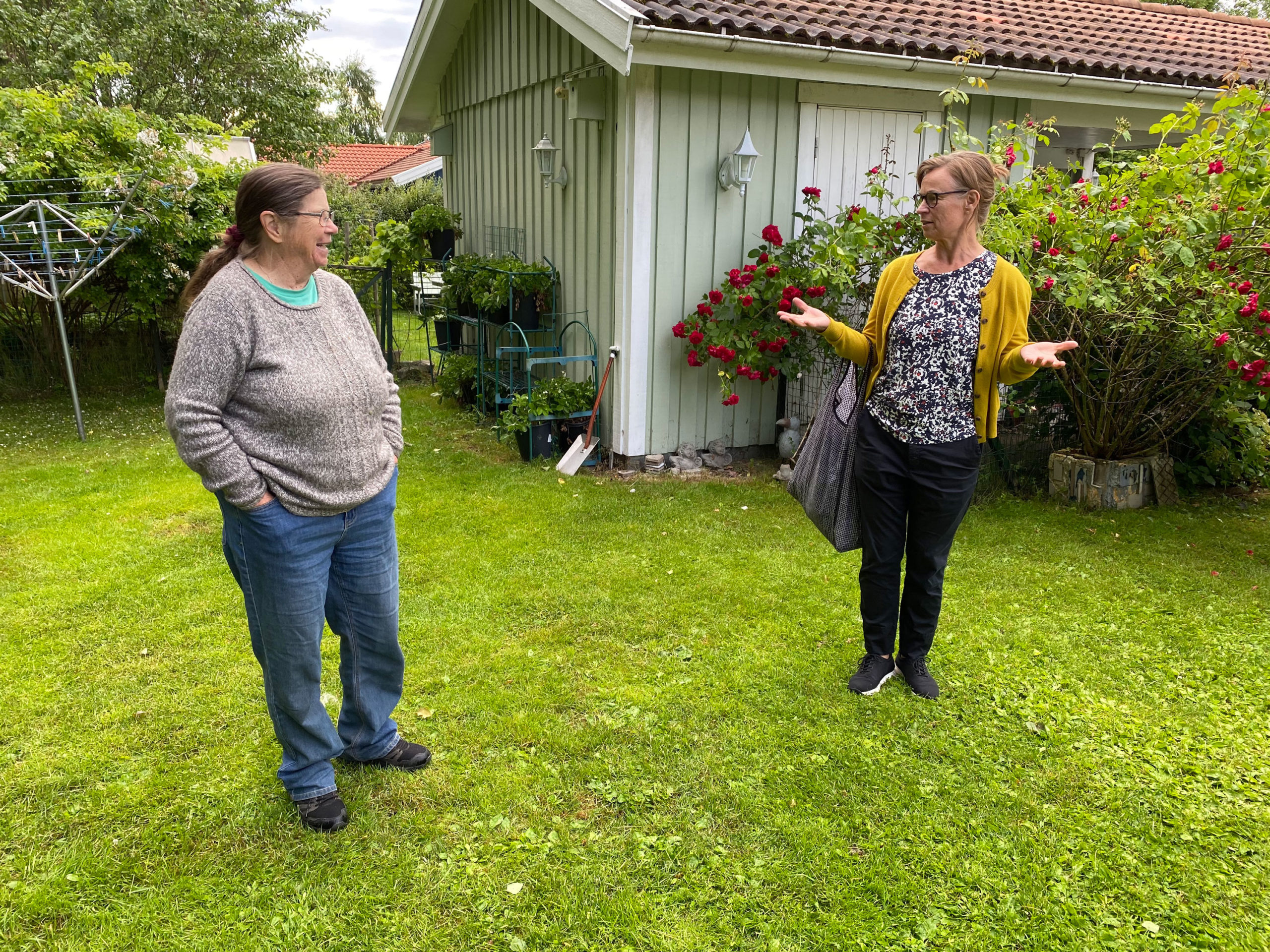 Besök i klematisrik trädgård