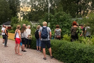 Konsten att beskära ett fruktträd