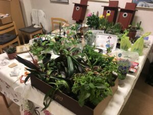 Vinstbordet till årsmötets växtlotteri
