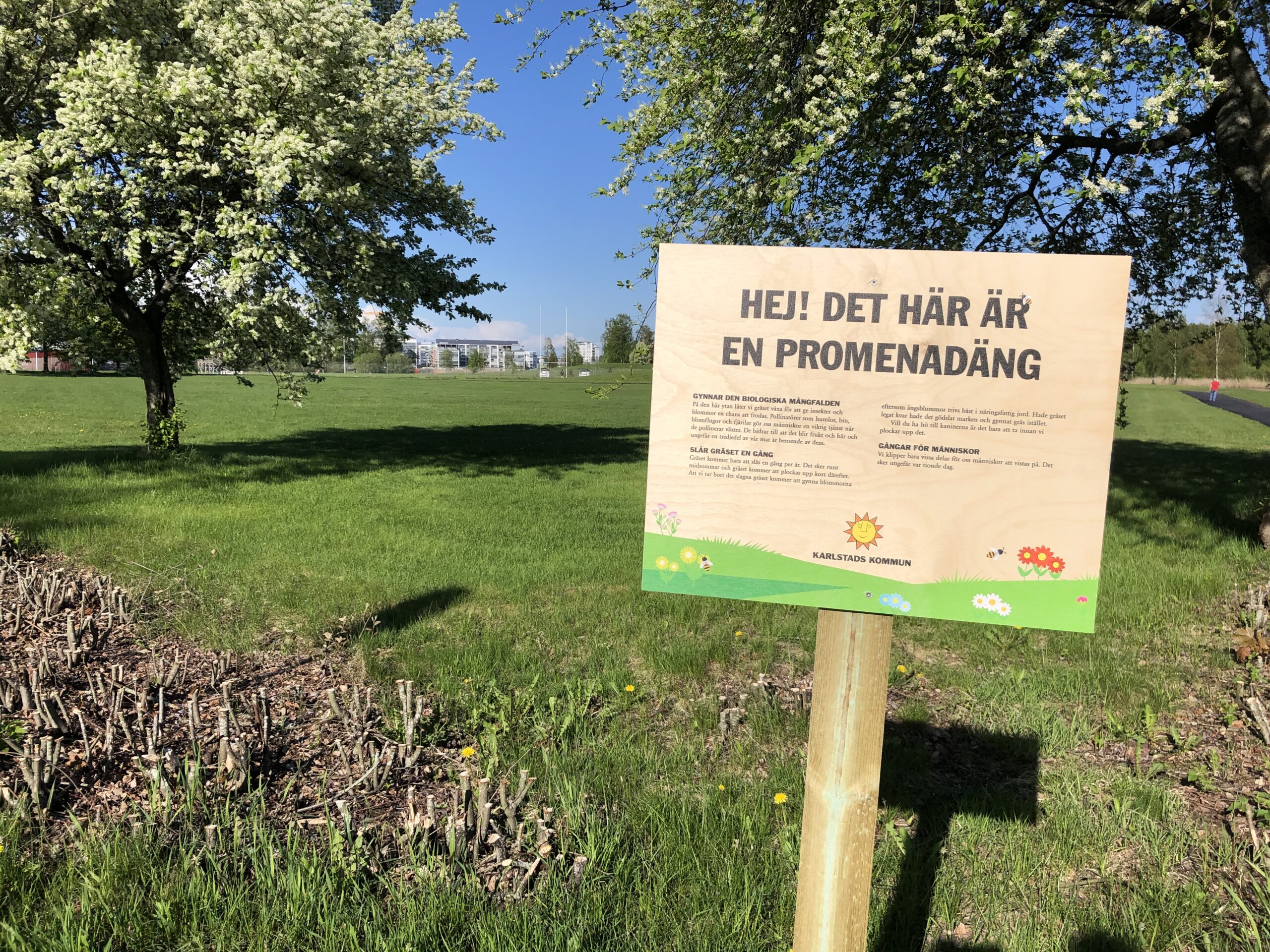 Bild på en äng och en informationsskylt om att det är en äng som man får promenera på. Foto: Karlstad kommun