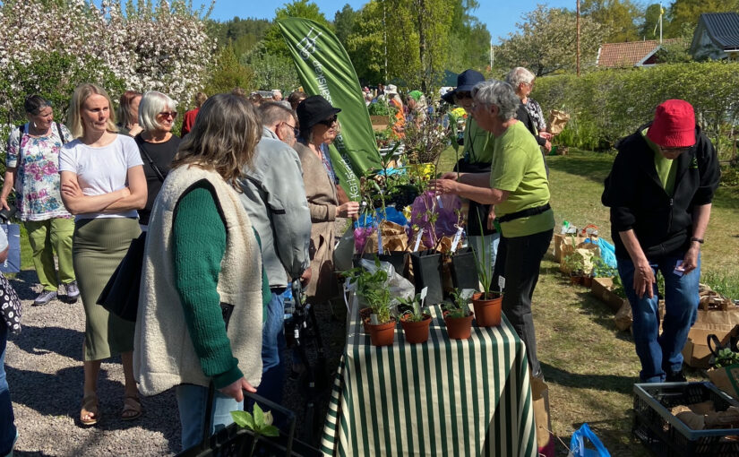 Växtmarknad lockade folk