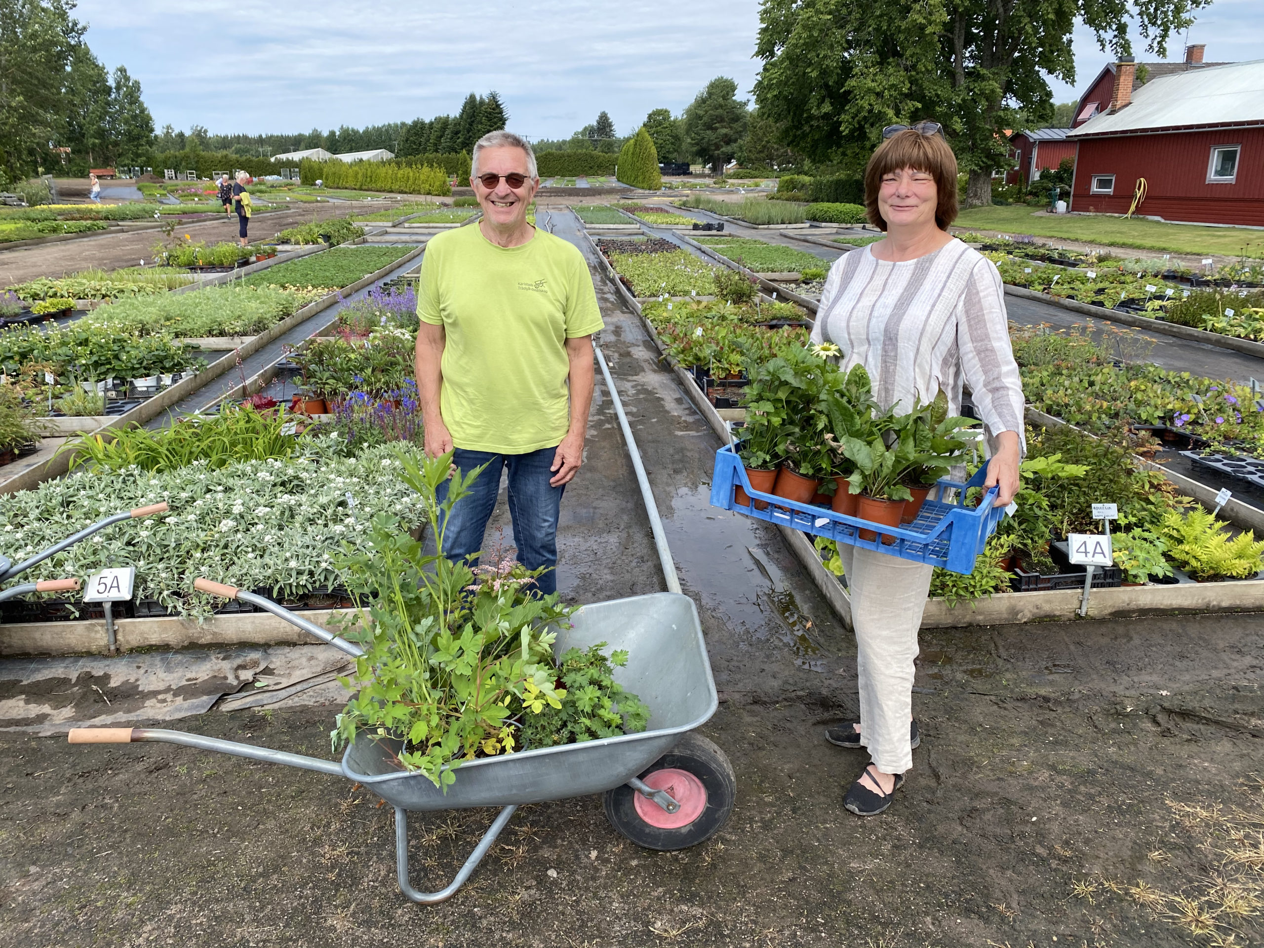 Perennfyndade på Rolands plantskola